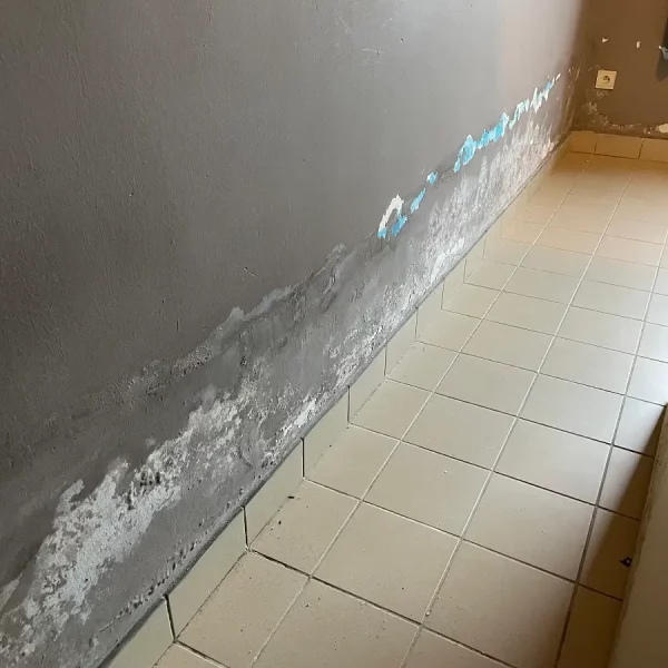 opstijgend-vocht-problemen-Decooven-Wevelgem